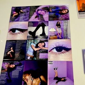 olivia rodrigo GUTS single sided poster